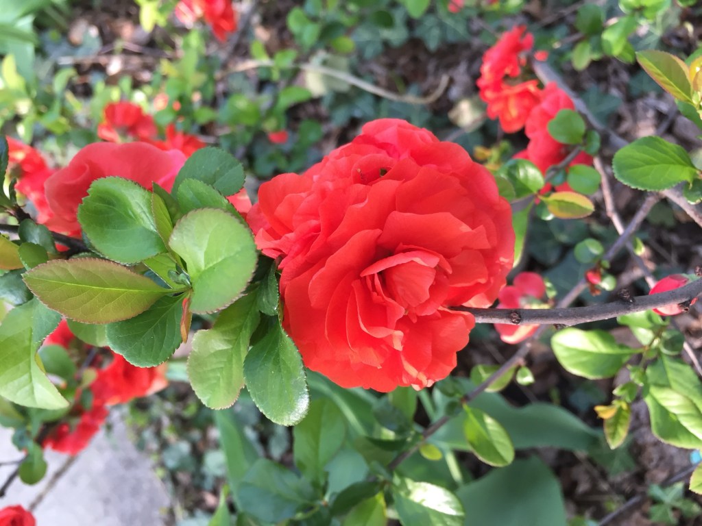 Amiee Tate’s Sunday Review: March 22,&nbsp;2026